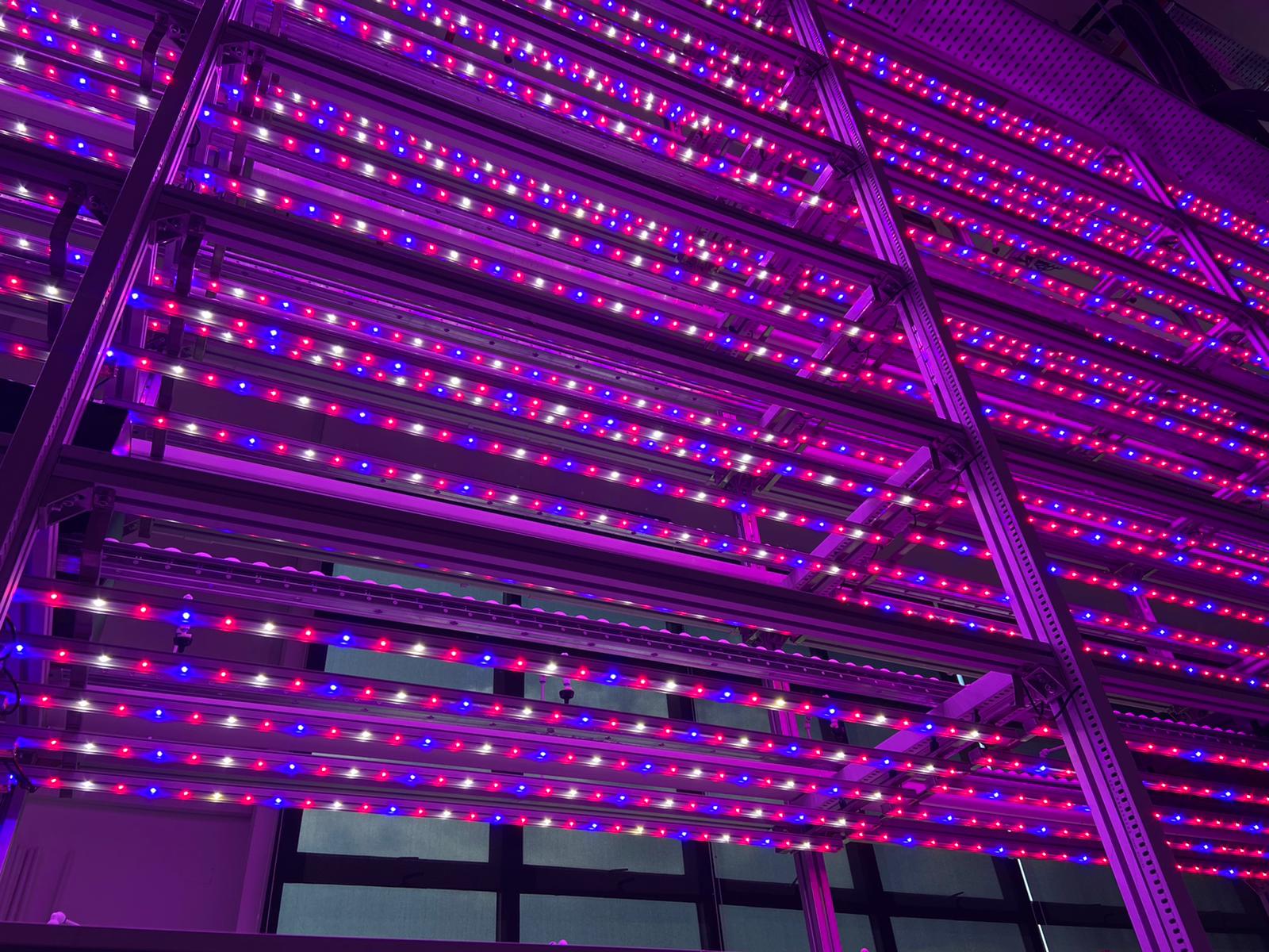 WhatsApp Image 2021-02-23 at 2